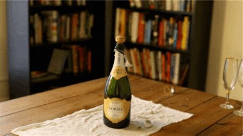 champagne anal|'champagne bottle anal' Search .